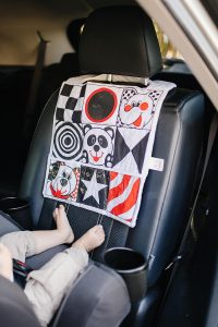 Brilliant Beginnings Car Activity Center baby travel toy