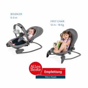 Chicco Hoopla Baby Bouncer