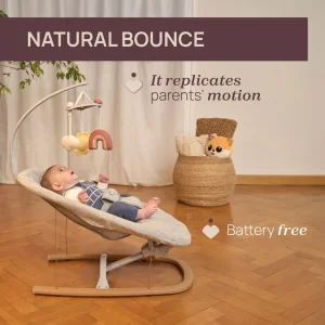 Chicco Zen Baby Bouncer - Grey